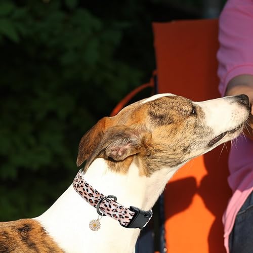 Miniatura 10 de Collar de perro con patrones de flores con accesorios, collares de algodón suave para perros pequeños, medianos y grandes, hembras y machos (M 12 a