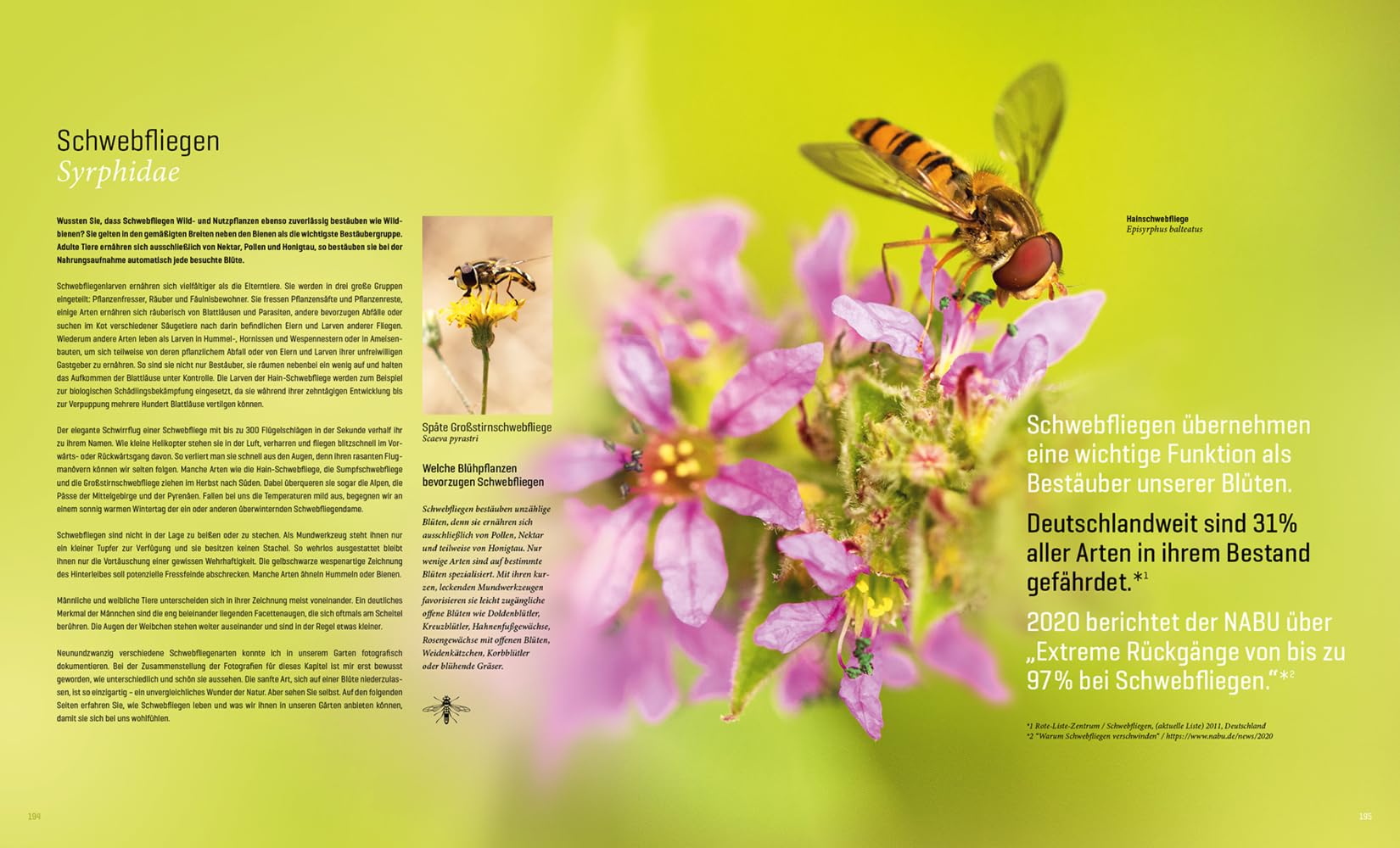 Mein Artenretter Garten: Mit den richtigen Pflanzen & Strukturen die Insektenvielfalt fördern