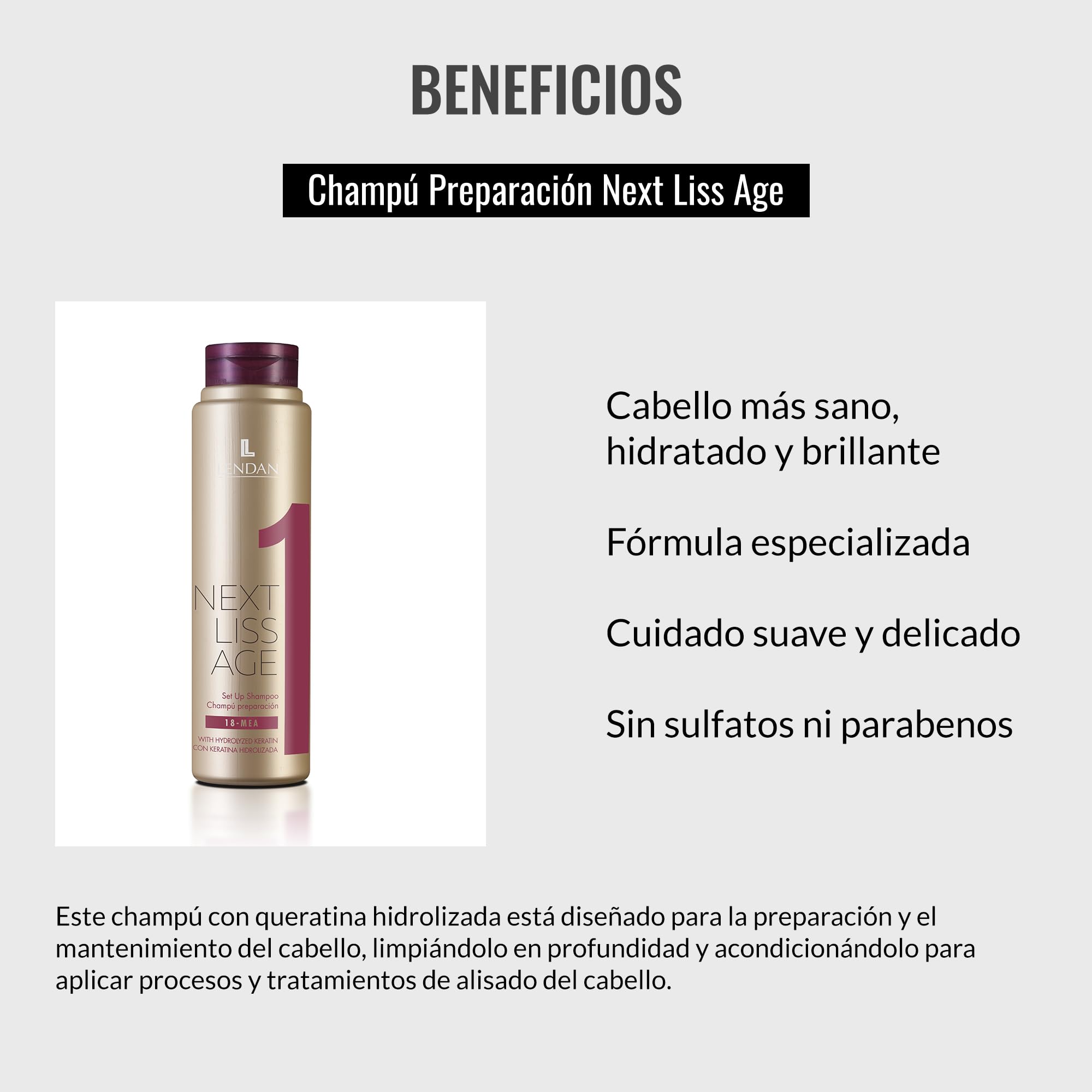 Amazon.com : Lendan - Sulfate and Paraben-Free Shampoo - Next Liss