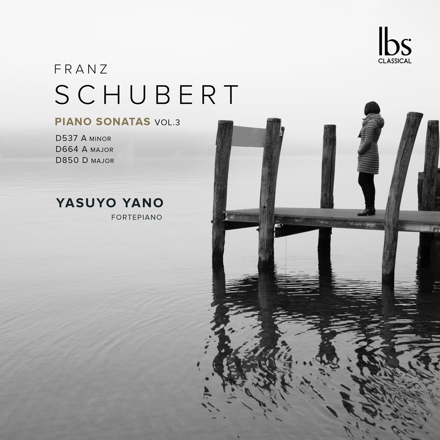 Franz Schubert: Piano Sonatas, Vol. 3