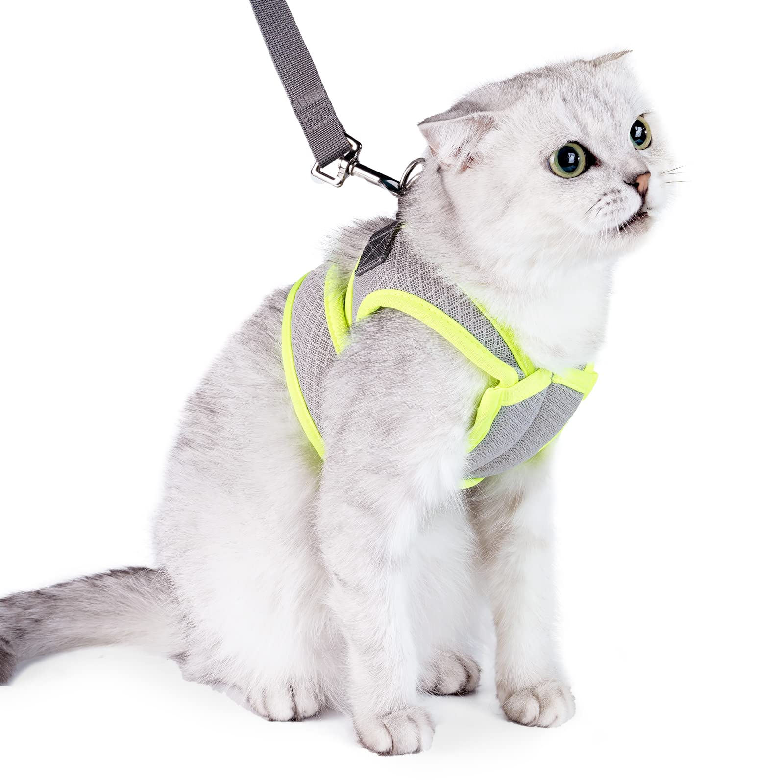 Cat Harness, Body Wheel, cat Gear, cat, Kitten, Puppy, Walking Out, The Best Soft Chest, Light Weight, Over-Head Magic Band, Installation Size, Adjustable Ventilation net, Night Reflection (Grey, L)