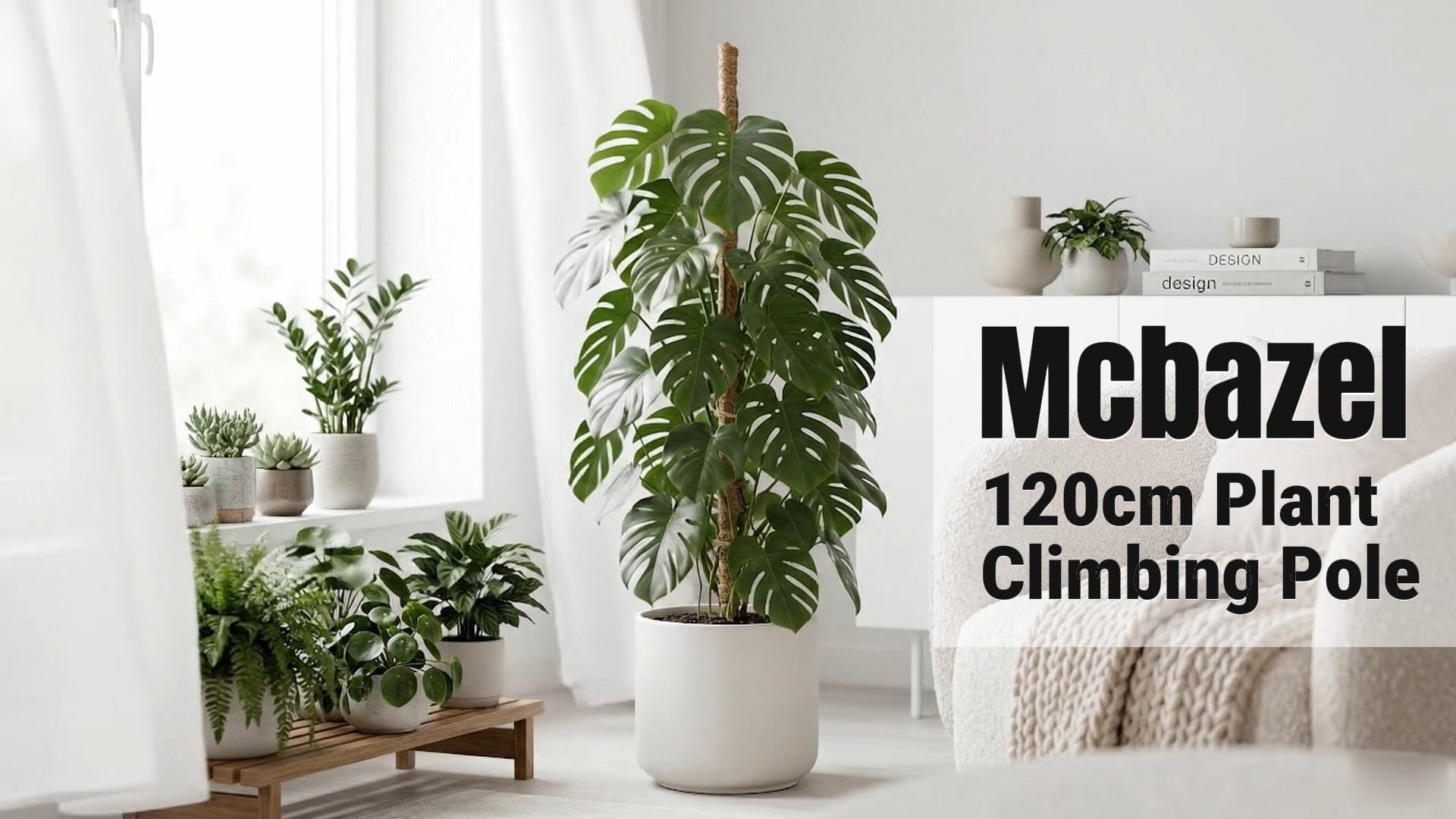 Amazon.com : Mcbazel Bendable Moss Pole for Plants 47 Inch