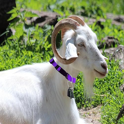 Miniatura 7 de Paquete de 3 collares de cabra, collar de cabra con campanas de cobre para pastoreo para mascotas, collares de nailon ajustables y duraderos para