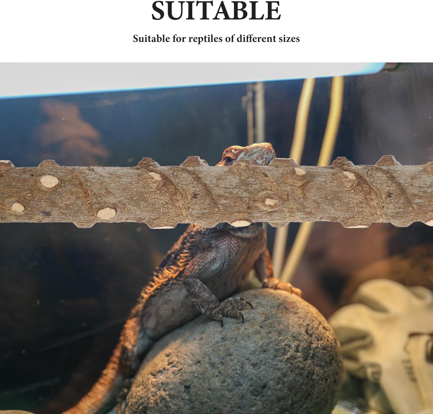 Abaodam 2pcs Snake and Lizard Climbing Branch with Suction Cup Wooden | Bearded Dragon Terrarium Decoration, Promotes Activity and Enhances Habitat, Includes Zip Ties for Easy Installation