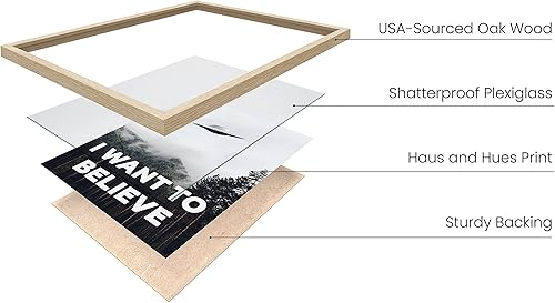 Miniatura 2 de HAUS AND HUES The X Files I Want To Believe - Póster de pared de ciencia ficción con texto en inglés "I Want to Believe" (marco beige, 12 x 16)