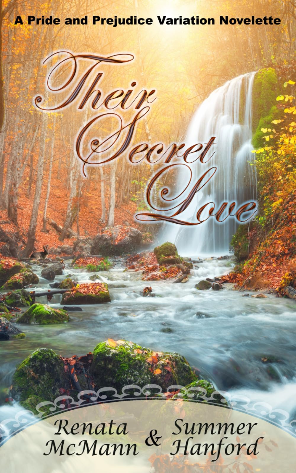Their Secret Love: A Pride and Prejudice Variation Novelette