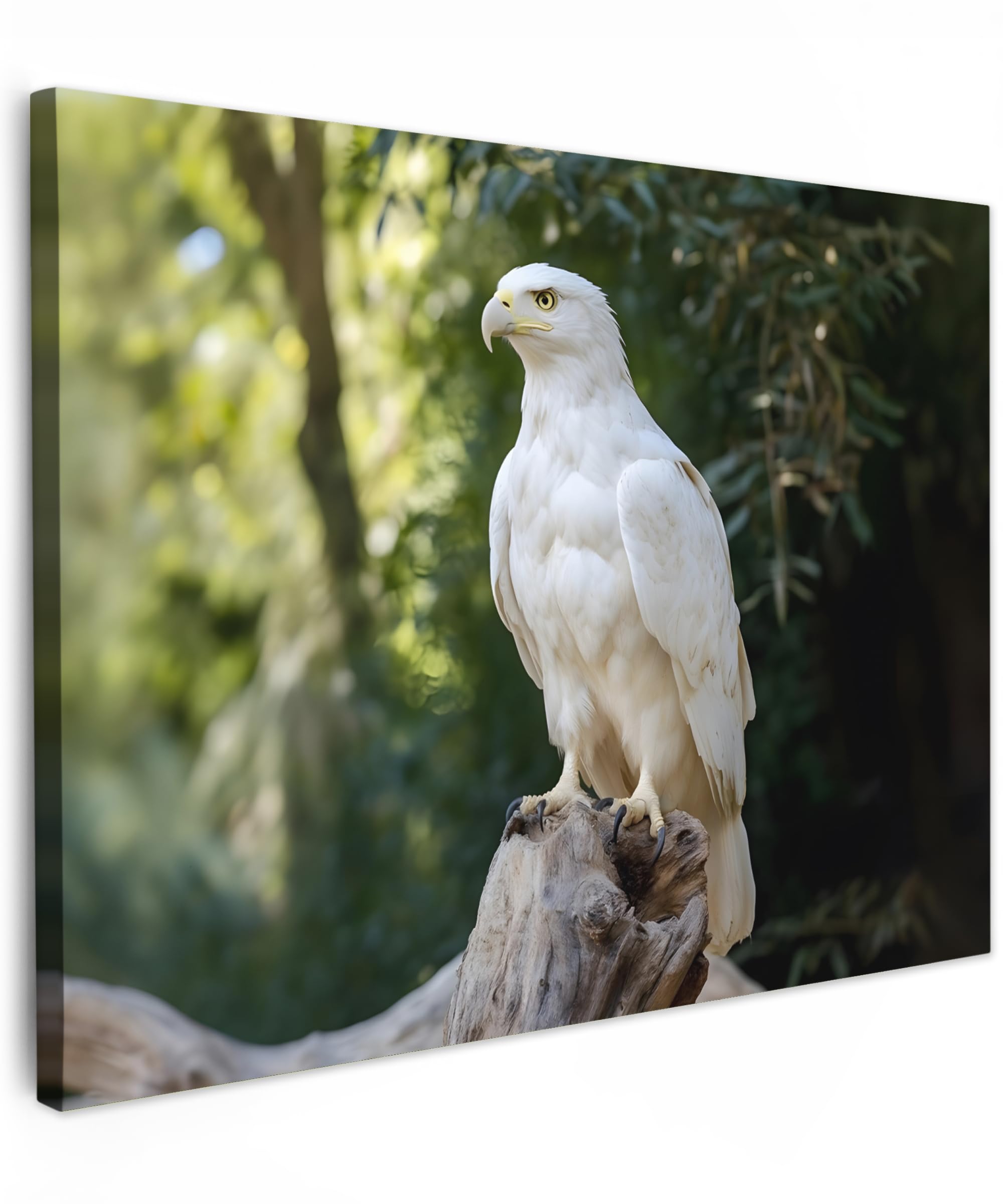 MuchoWow© Canvas Wall Art Work 31"x24" / 80x60 cm Room Decor Painting Wallfillers Picture Decoration Prints Eagle - Wood - White - Plants