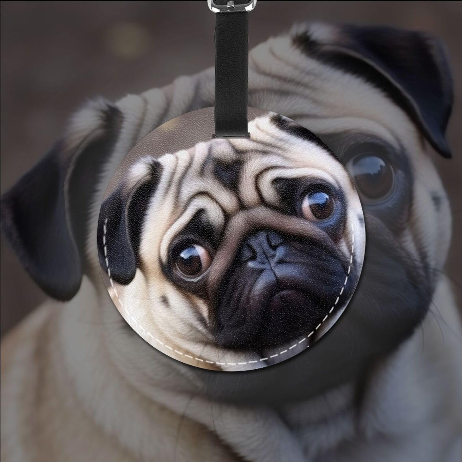 ★ pug★ IMG_2591copy_2048x.jpg?v=