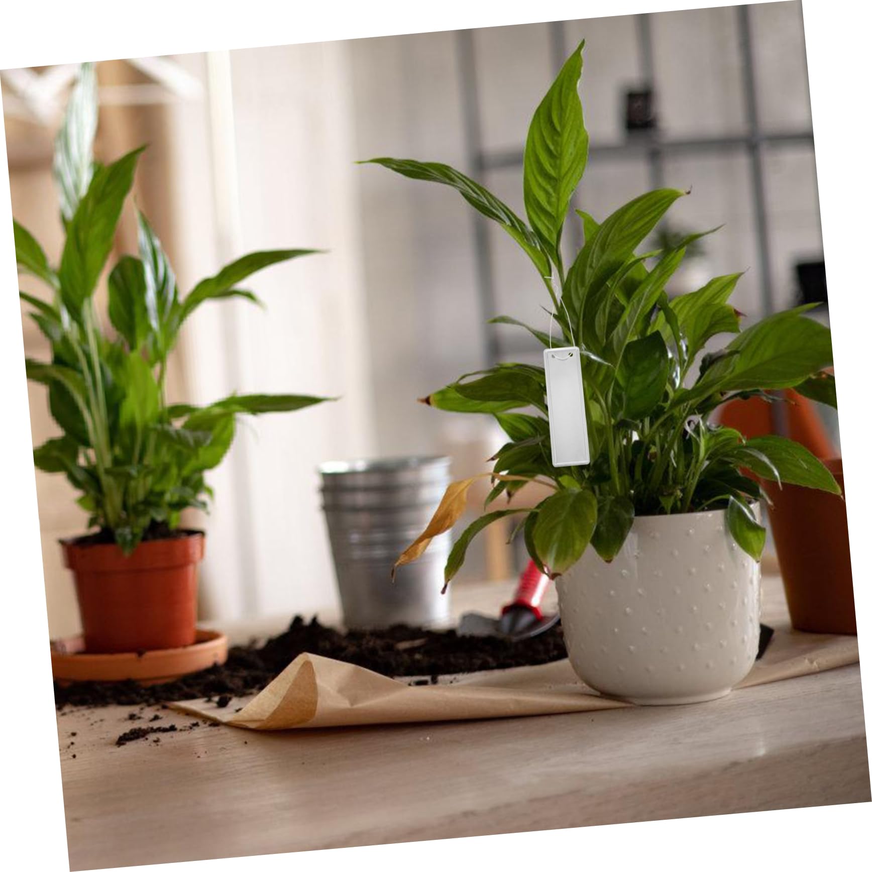 YARNOW 150pezzi Etichette Per Piante Alluminio Da Riutilizzabili e Impermeabili Per Giardinaggio e Identificazione Piante Design Moderno e Facile Da Scrivere