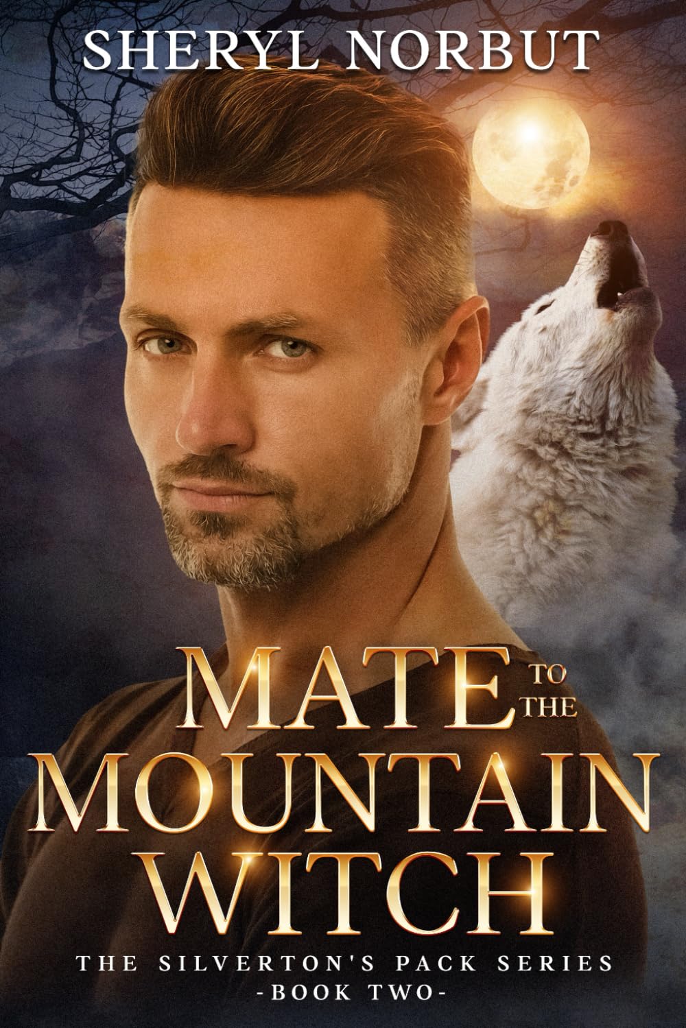 Mate to the Mountain Witch: Second Chance Paranormal Fantasy Romance (Silverton's Pack)