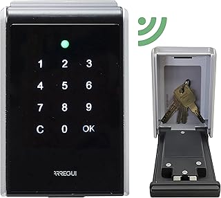 ARREGUI Keeper-E SEG013 Portachiavi intelligente, scatola di sicurezza per chiavi con Bluetooth e App mobile, Cassaforte per chiavi, Portachiavi per appartamenti turistici, Smart Home, Argento