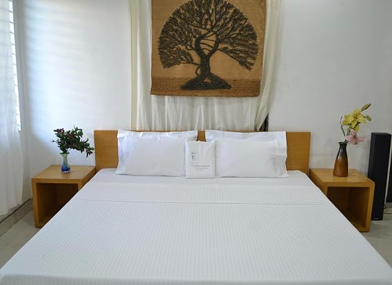Organic Cotton Comfortable and Soft Sateen Stripe Bed Sheet Set - Luxury Hotel Quality - GOTS Certified - White - Deep Pocket - Easy Care - Queen