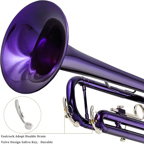 Miniatura 27 de EASTROCK Bb Trumpet Juego de trompeta estándar con estuche de transporte, guantes, boquilla 7C y kit de limpieza (negro)