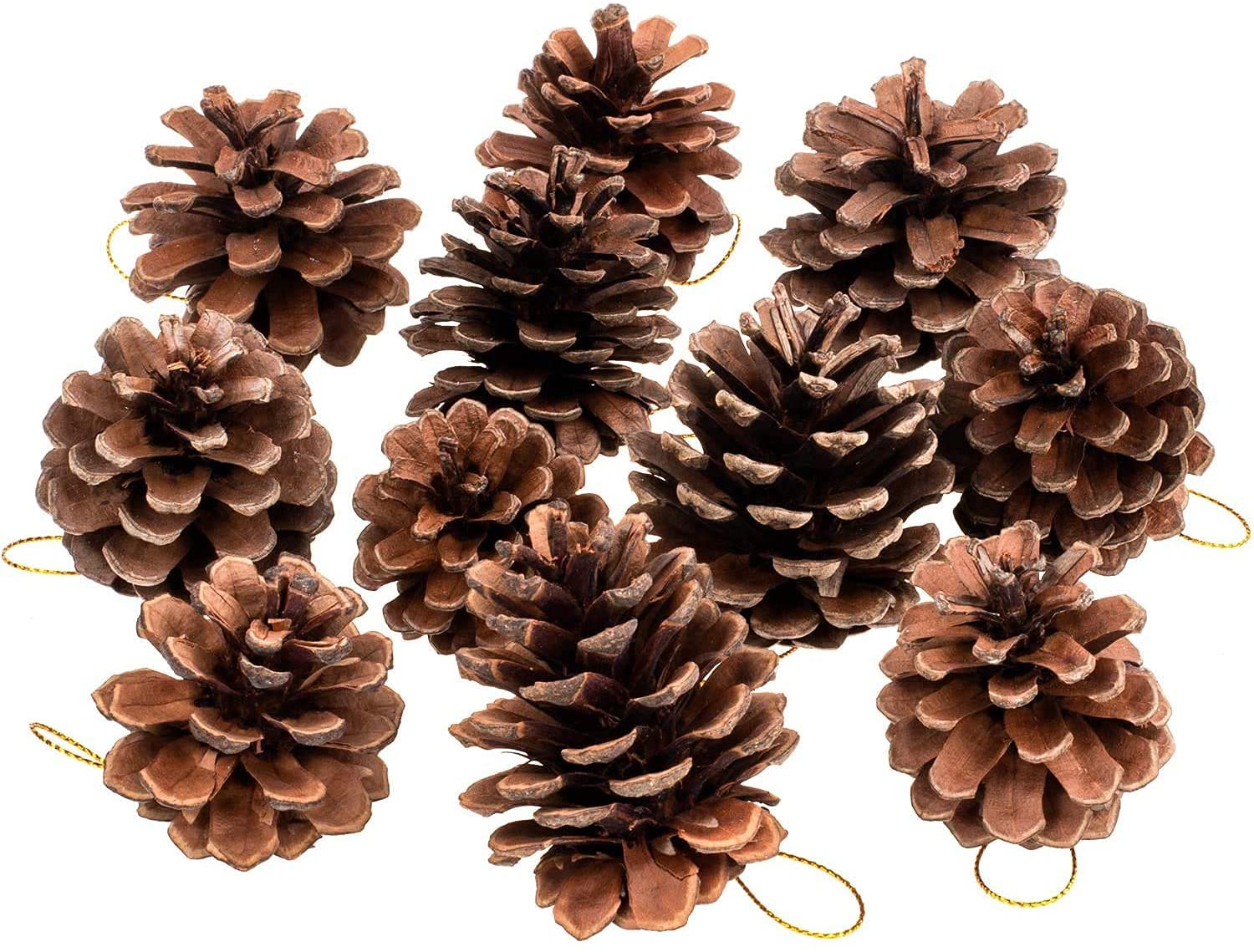 6Pcs Rustic Pine Cones Ornaments Real Natural Pine Cone Ornaments Xmas Tree Ornaments Home Decor Pine Cones with String for Tag Tree Home Party, Fall Christmas Hanging Decoration