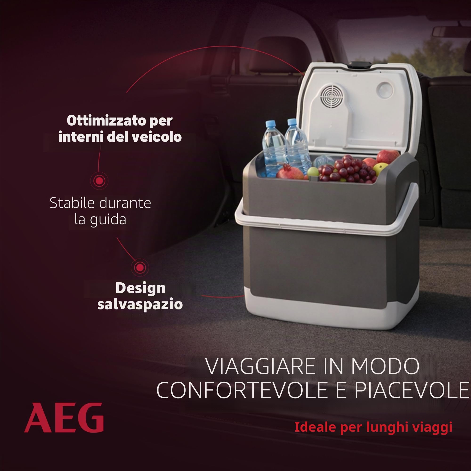 AEG Automotive Thermoelectric Cool Box KK 20 Litri, 12/230 Volt per Auto e Presa, Grigio