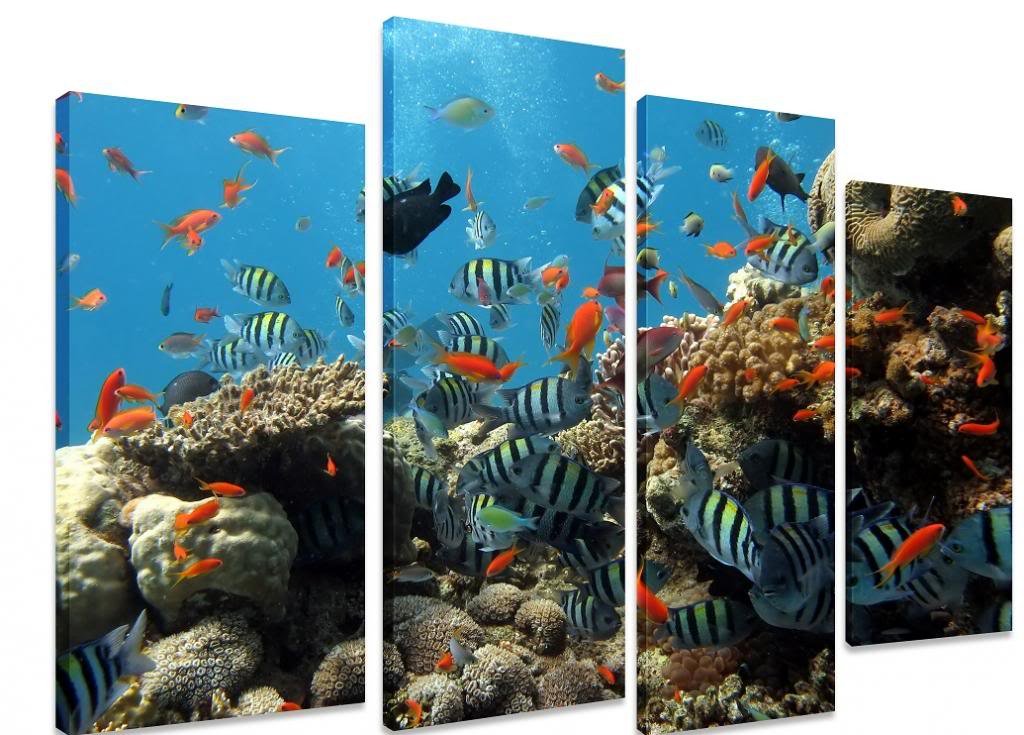 PICTURE - Multi Split Panel Canvas Artwork Art - Coral Fish Colony Ocean Sea Blue - ART Depot OUTLET - 4 Panel - 101cm x 71cm (40"x28")