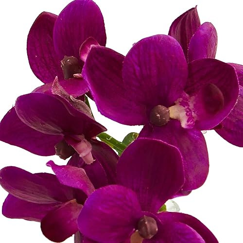 Miniatura 3 de Nearly Natural 4208-S3 - Arreglo artificial de orquídea Phalaenopsis de 9 pulgadas en jarrón (juego de 3) Arreglo de orquídeas Phalaenopsis de 9