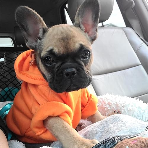 Miniatura 38 de Jecikelon - Sudadera con capucha y bolsillos, cálida para invierno, para perros pequeños, ropa de abrigo para chihuahuas, disfraz para cachorros