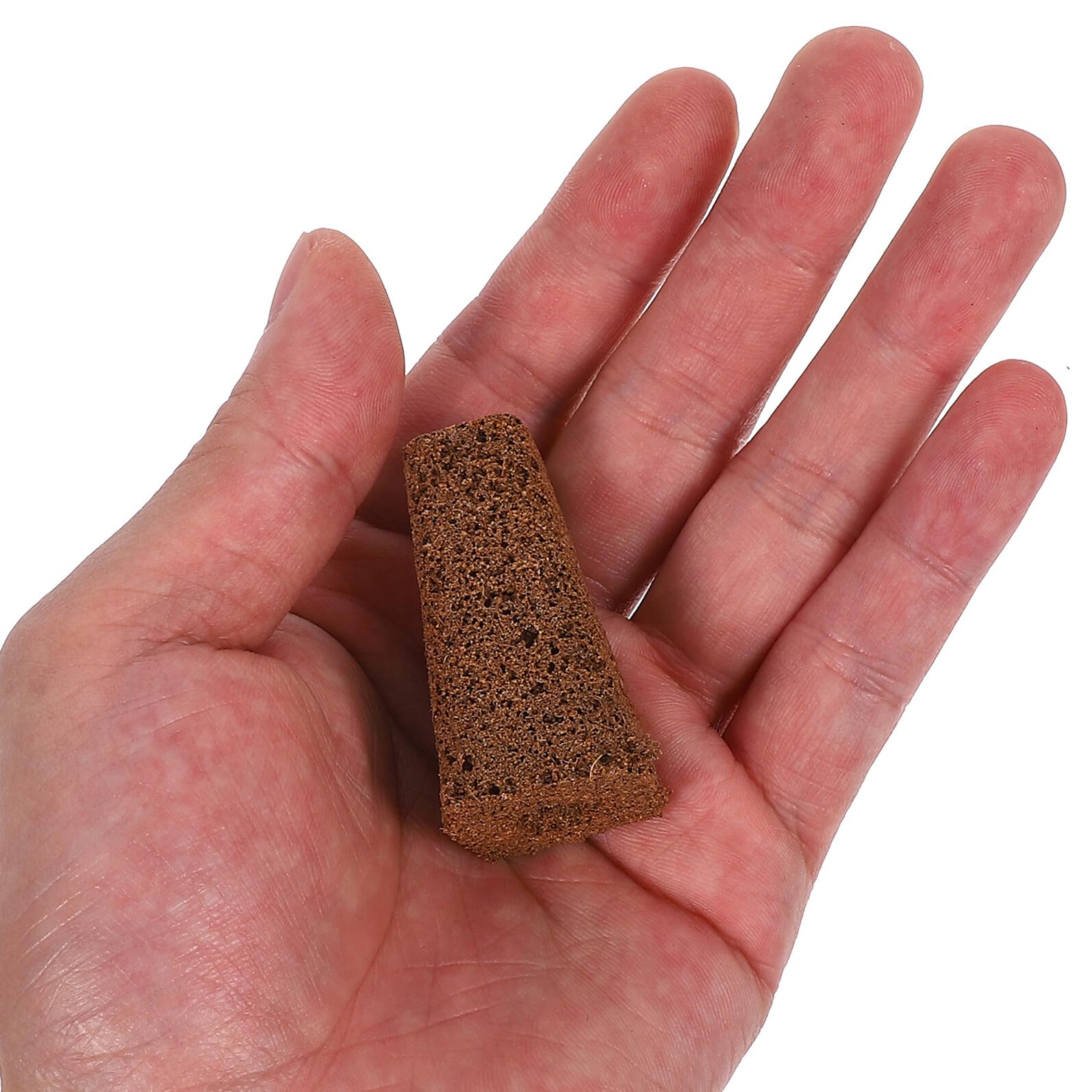 Supvox 30 Stück anzuchtschwämme hydroponic Grow sponges wachstumsschwämme hydroponic soilless schwämme hydrokultur schwämme Hydroponische Light Brown
