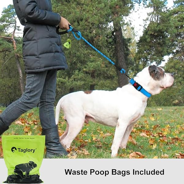 Taglory Guinzaglio per Cani, Strong Dog guinzaglio con Comoda Impugnatura Imbottita e Altamente Riflettente Fili per Cani di Taglia Media e Grande, Lungo 1,5 m, Blu - 2