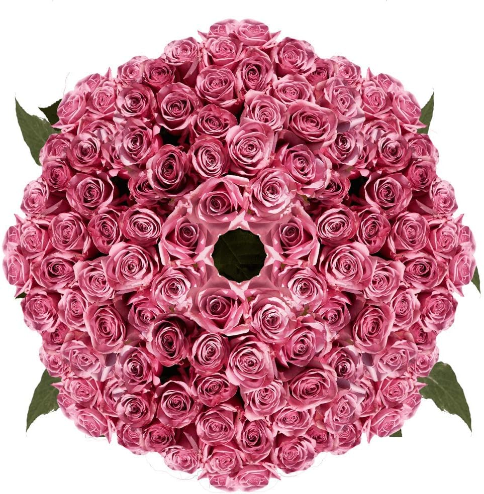 GlobalRose 250 Lavender Roses Bouquet - Responsibly Sourced Roses Fresh Flowers - Hand-Picked Flowers Fresh Bouquet for Graduation, Anniversary, Birthday & Special Occasions (10 Bunches of 25 Stems)