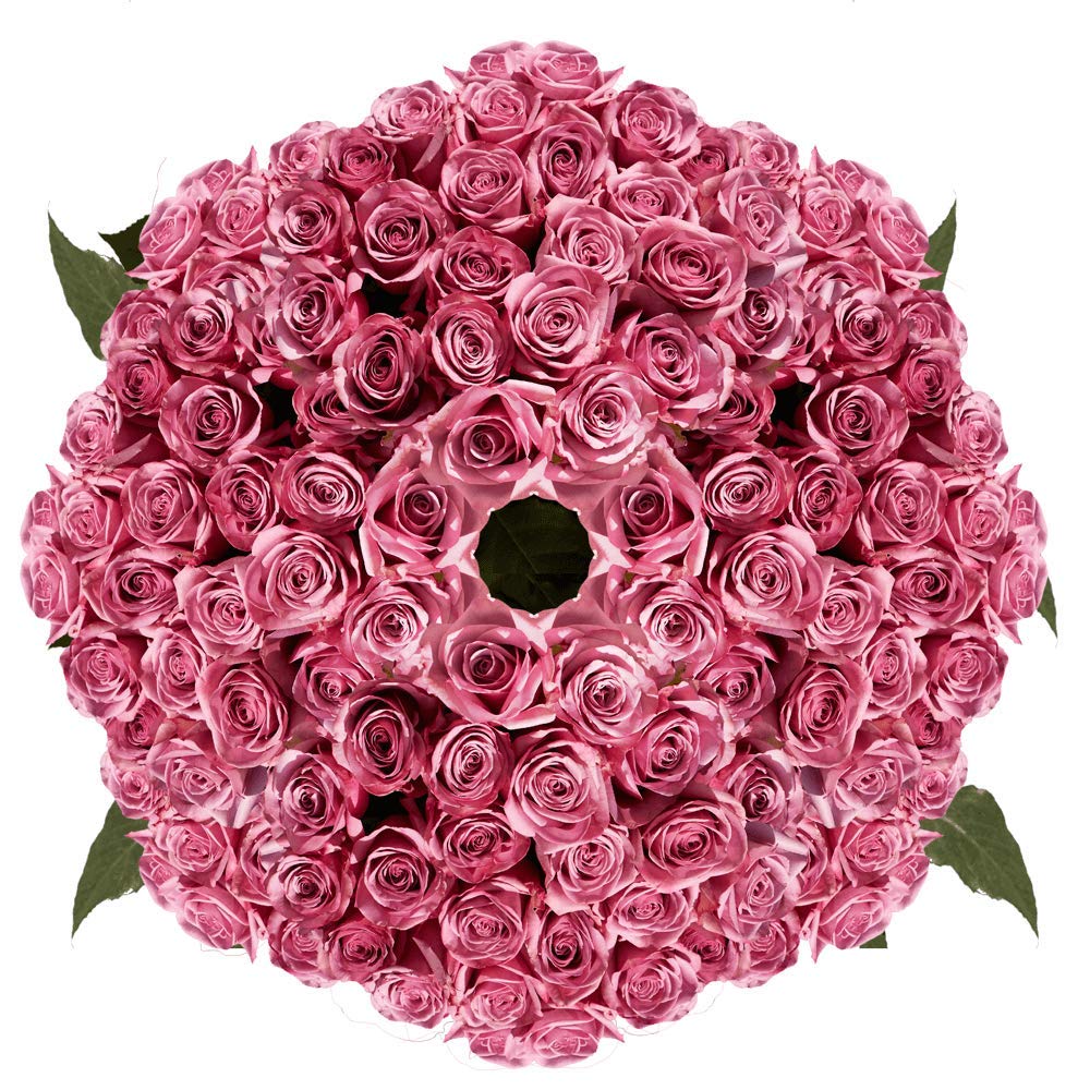 GlobalRose 250 Lavender Roses Bouquet - Responsibly Sourced Roses Fresh Flowers - Hand-Picked Flowers Fresh Bouquet for Graduation, Anniversary, Birthday & Special Occasions (10 Bunches of 25 Stems)