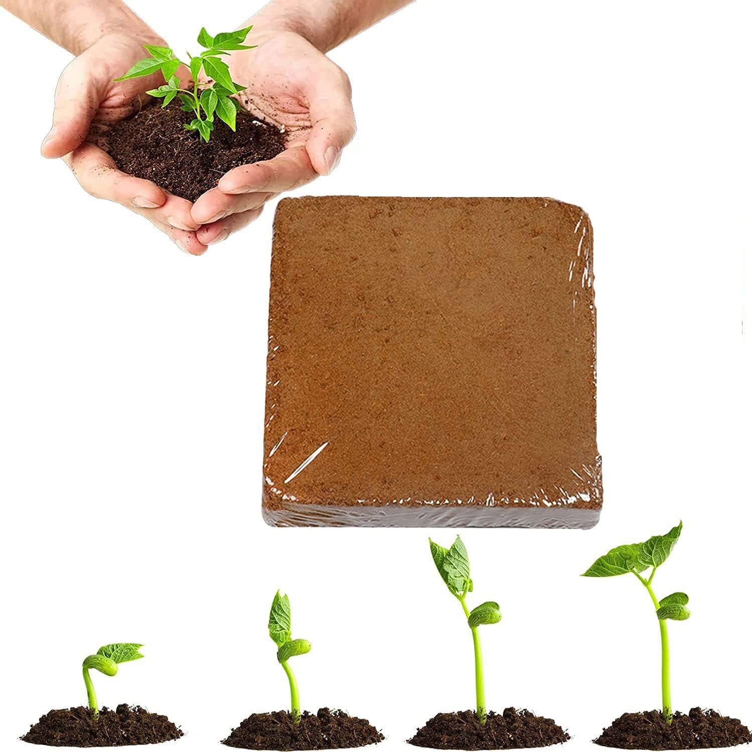 Organic Coconut Coir for Plants, Coconut Coir Bricks Bulk, Potting Soil