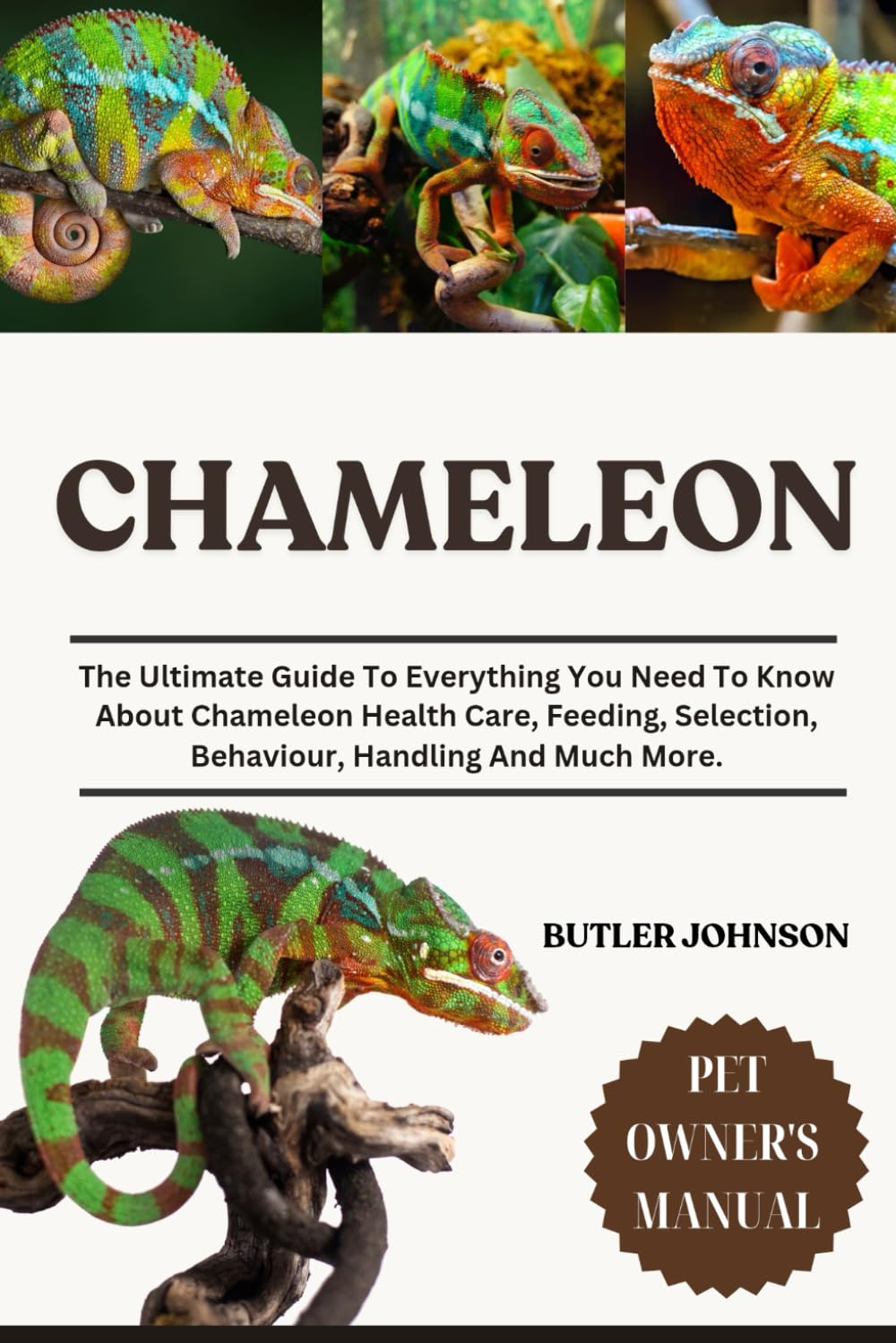 CHAMELEON: The Ultimate Guide To Everything You Need To Know About Chameleon Health Care, Feeding, Selection, Behaviour, Handling And Much More.