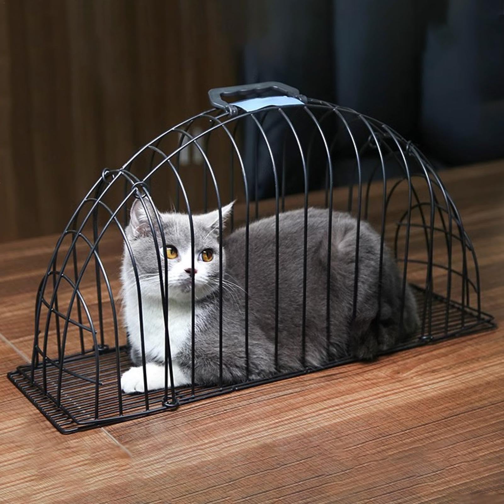 Gabbia per gatti che soffia, gabbia da bagno per gatti in rete per animali domestici, gabbia per animali domestici, rete per cani, cuccioli, gatti, toelettatura doccia, gabbia da bagno per cani di