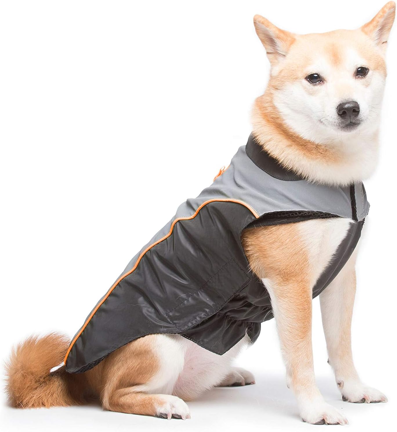 Dog Gone Smart Meteor Nanobreaker Jacket, Black & Grey W/Orange Piping, 20"