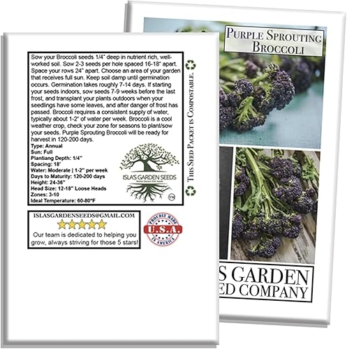 Miniatura 3 de Semillas de brócoli que brotan moradas, más de 500 semillas tradicionales por paquete, semillas de jardín de Isla (semillas de jardín de Isla),