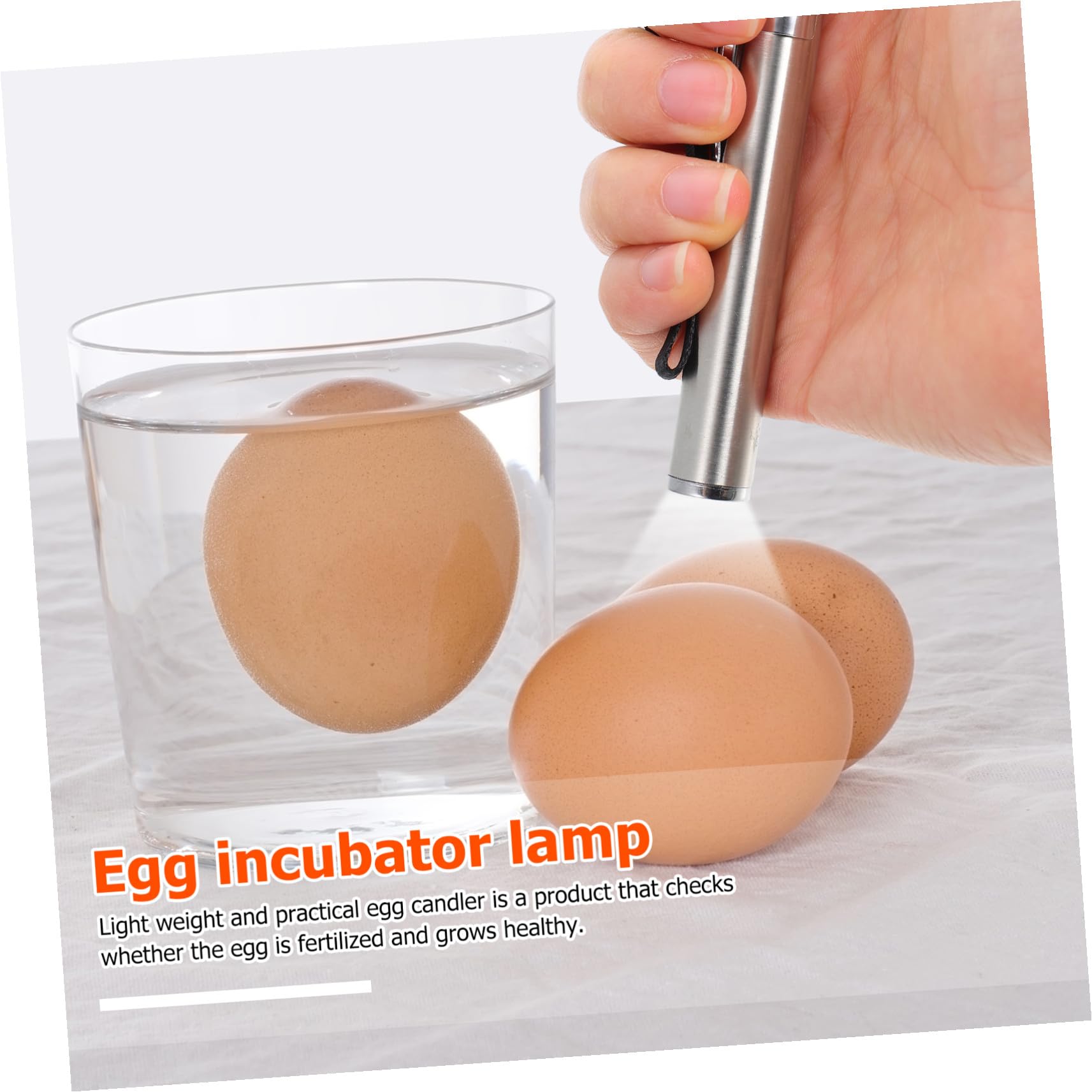 VICASKY Mire-œufs Led, Vérificateur D'œufs Léger et Pratique, pour Incubation des Œufs de Poule, Canard, Oie et Perroquet, sans Piles