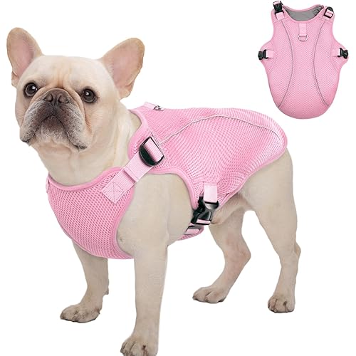 Kuoser Dog Cooling Vest, Pet Cooler Coat, Breathable Doggie Cool Jackets for Medium Dogs, Reflective Cooling Harness, Puppy Summer Essentials Pink M