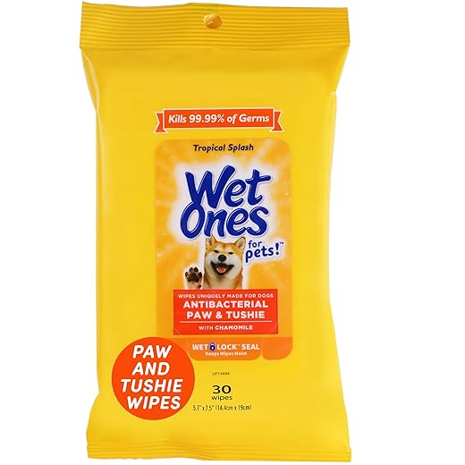 Wet Ones for Pets Paw & Tushie Dog Wipes with Chamomile | Dog Wipes for All Dogs in Tropical Splash Scent, Wipes with Wet Lock Seal | 30 Ct Pouch Dog Paw Wipes