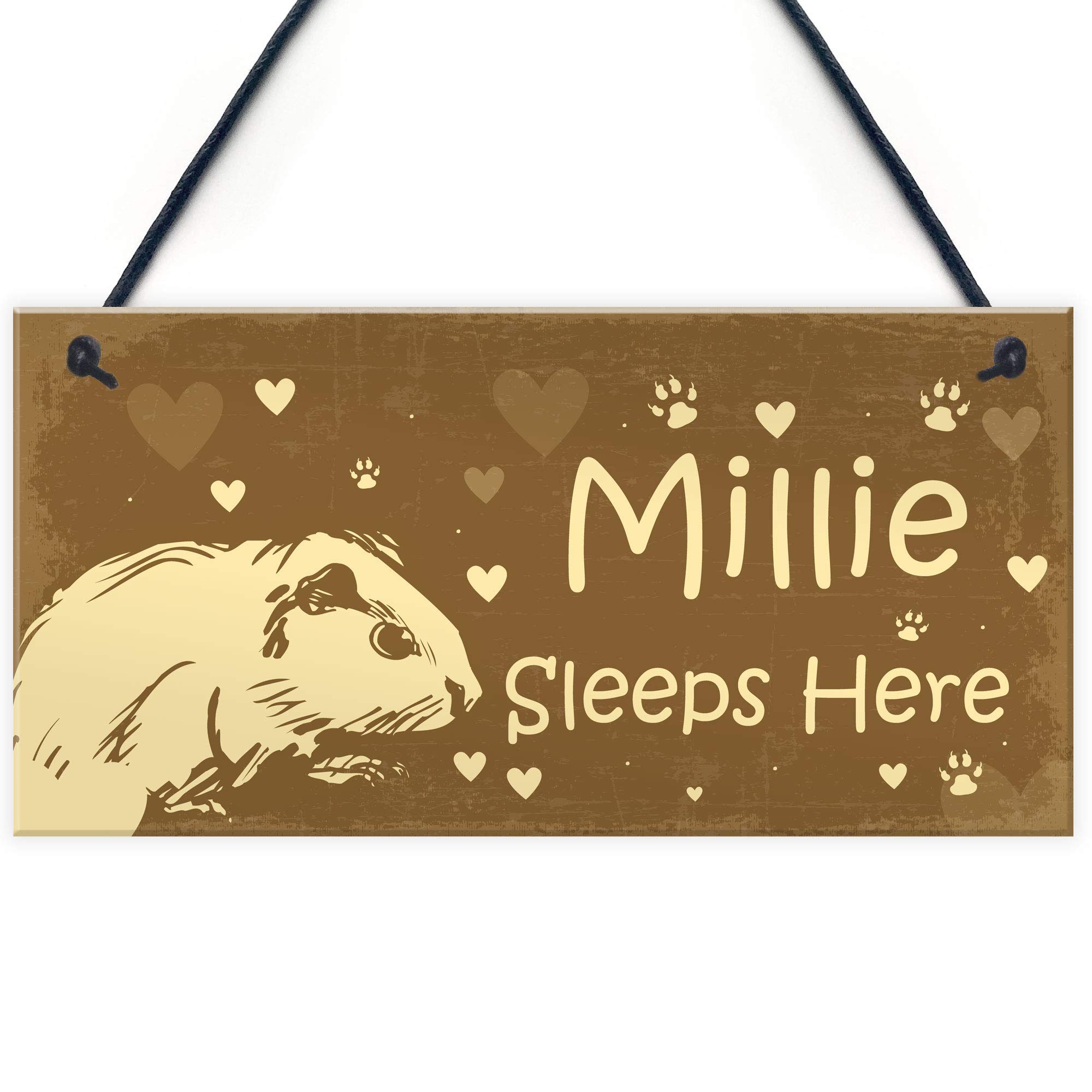 Red Ocean Guinea Pigs Sleeps Here Personalised Beautiful Handmade Gift Sign For Guinea Pig Owners