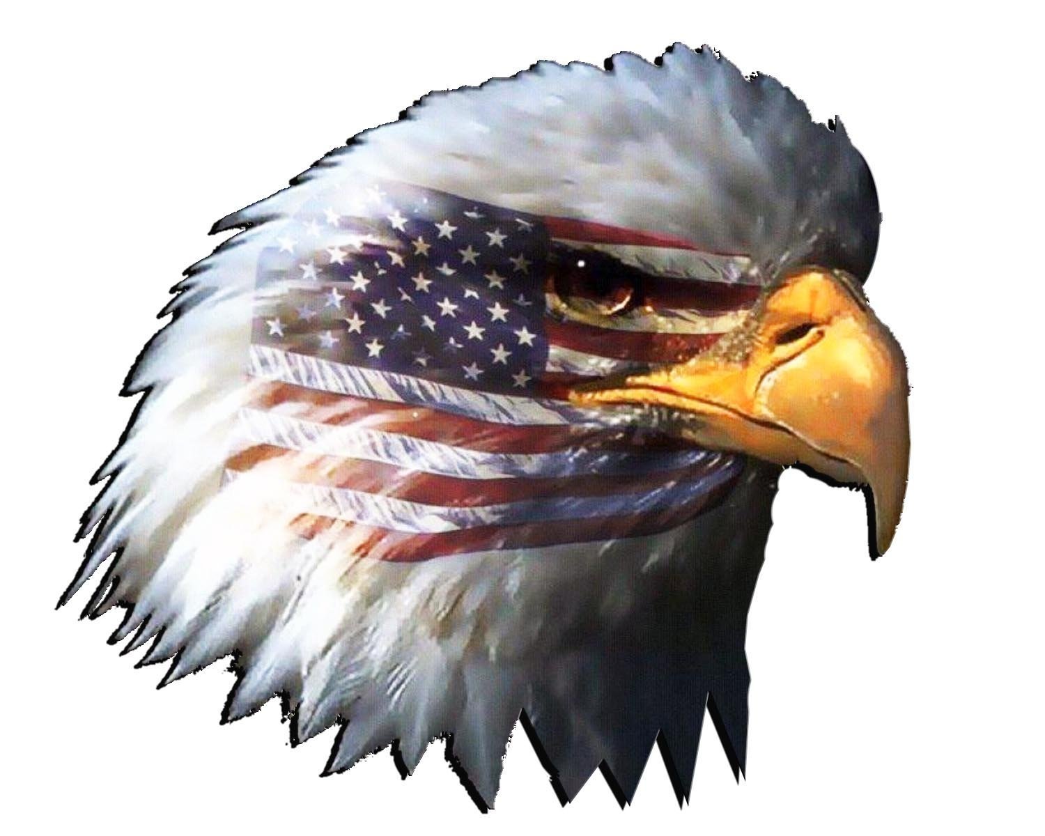 Amazon.com: American Flag Eagle Head Large Decal 8