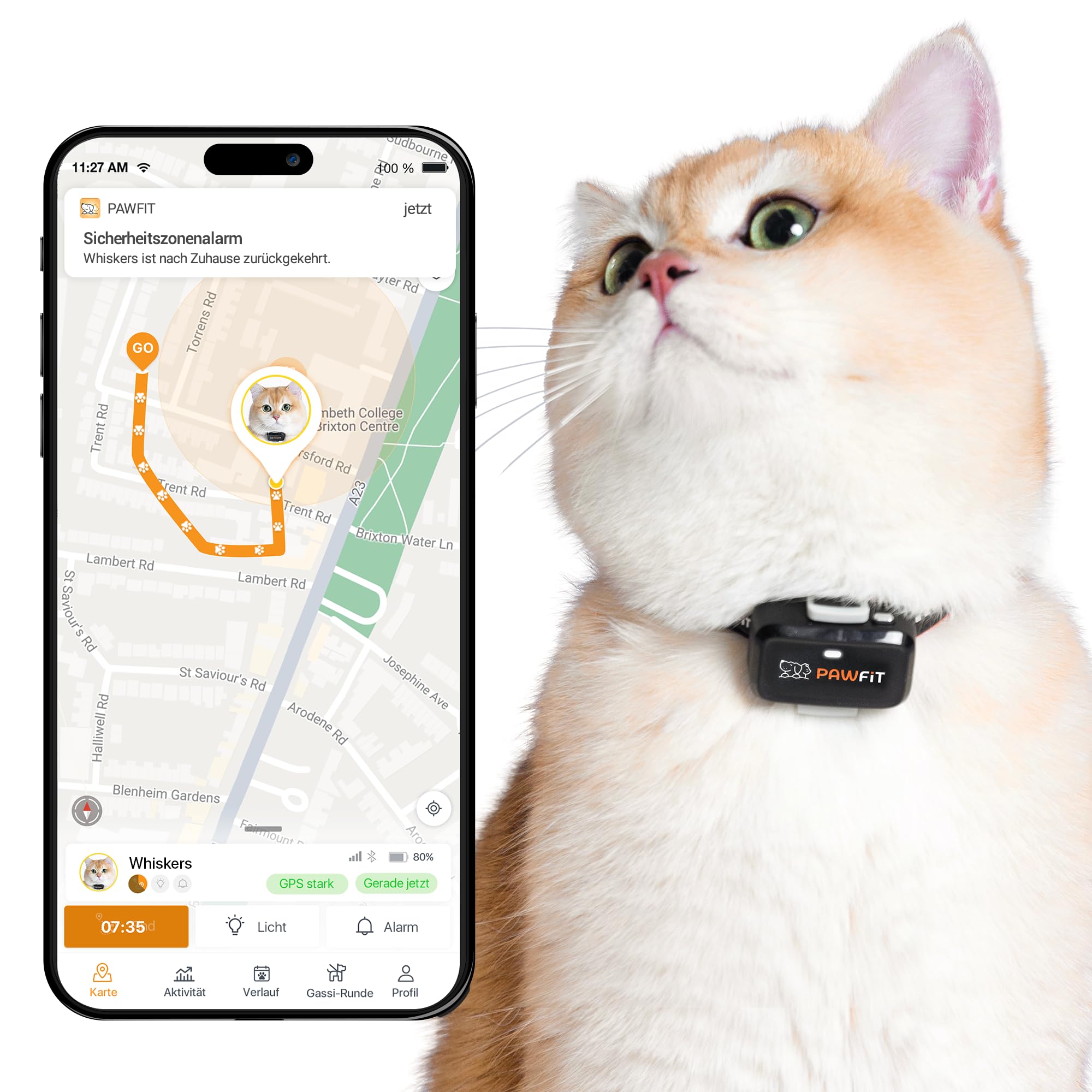 Pawfit Lite für Katzen 4G GPS-Tracker | Ultrakompakt <18g | Echtzeit-Tracking & Aktivität | Standortverlauf | Sicherheits-Halsband inkl. | ONYXSCHWARZ