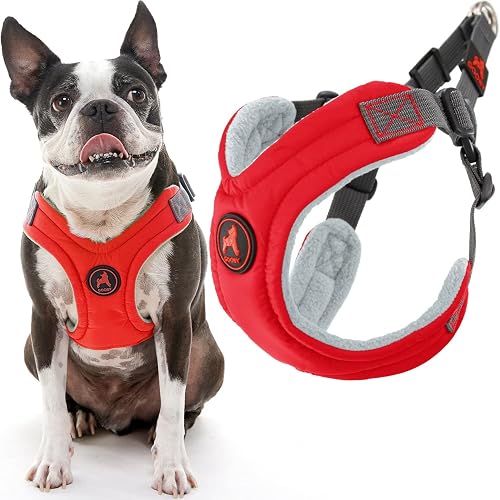 Gooby - Arnés Modelo Escape Free de Espuma viscoelástica, Color Rojo, Talla Grande, Tipo Step-In, 4 Puntos…