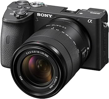 Amazon.com : Sony Alpha A6600 Mirrorless Camera with 18-135mm Zoom