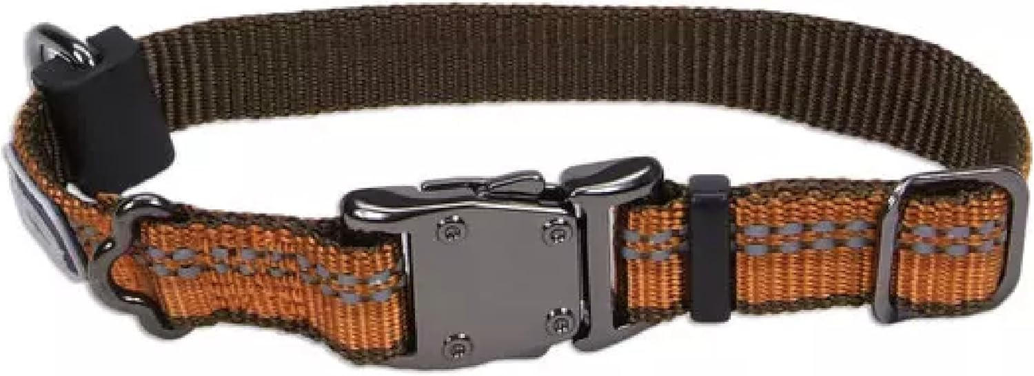 Coastal Pet K9 Explorer Reflective Adjustable Dog Collar – Comfortable Collar for the Outdoors – Durable, Lightweight Accessory with Side-Release Buckle – Campfire Orange, 1″ x 18-26″