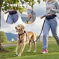 Vista 6 de Yaxa Basics Correa para perro manos libres con bolsa para correr, cinturón ajustable, asas acolchadas dobles, correa elástica reflectante