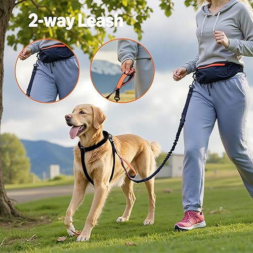 Miniatura 6 de Tienda Basics Correa para perro manos libres con bolsa para correr, cinturón ajustable, asas acolchadas dobles, correa elástica reflectante para