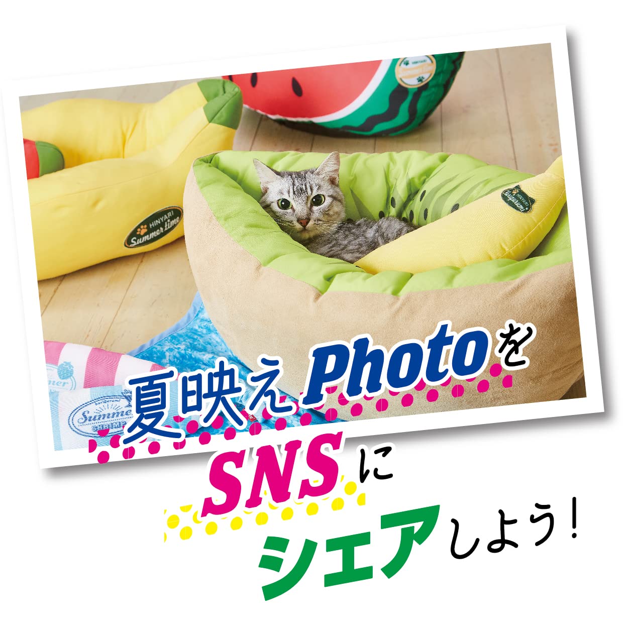 Amazon | ペティオ (Petio) 犬猫用ベッド ひんやりサマーベッド