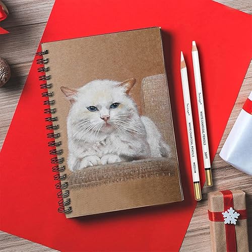 Miniatura 5 de dainayw Juego de 6 lápices de carbón blanco, suministros de arte profesionales suaves y medianos para dibujar, resaltar, bocetar, mezclar