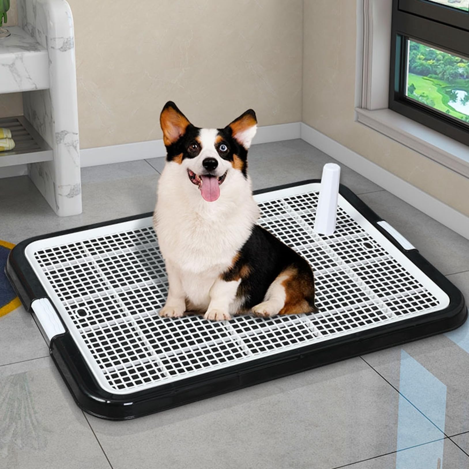 ペット用トイレ（小型犬用） Amazon | 犬 トイレ 犬 トイレトレー ペット 犬用トイレ（42cm×41cm