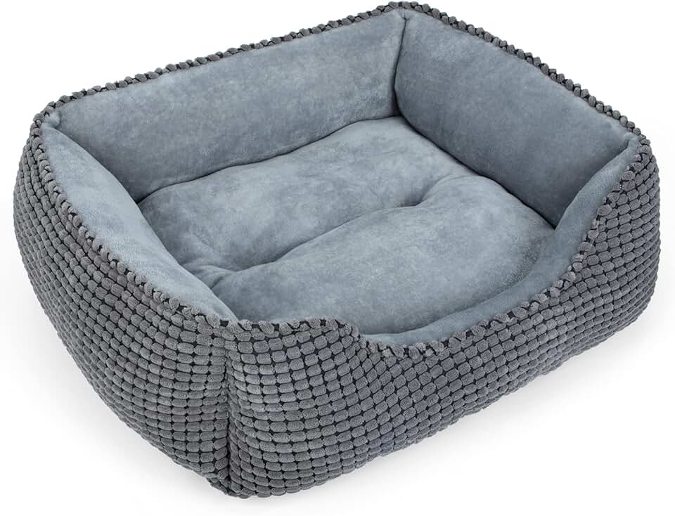 clearance dog beds Free Shipping by Amazon