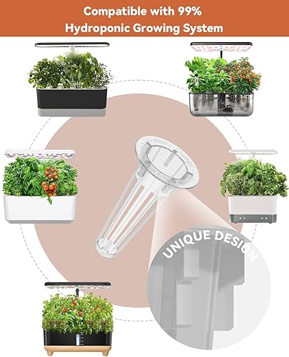 Miniatura 32 de Lyko Gourmet - Kit de semillas de hierbas para AeroGarden, iDoo, Ahopegarden, GARDENCUBE, 7 cápsulas con albahaca, perejil, menta, cilantro, kits