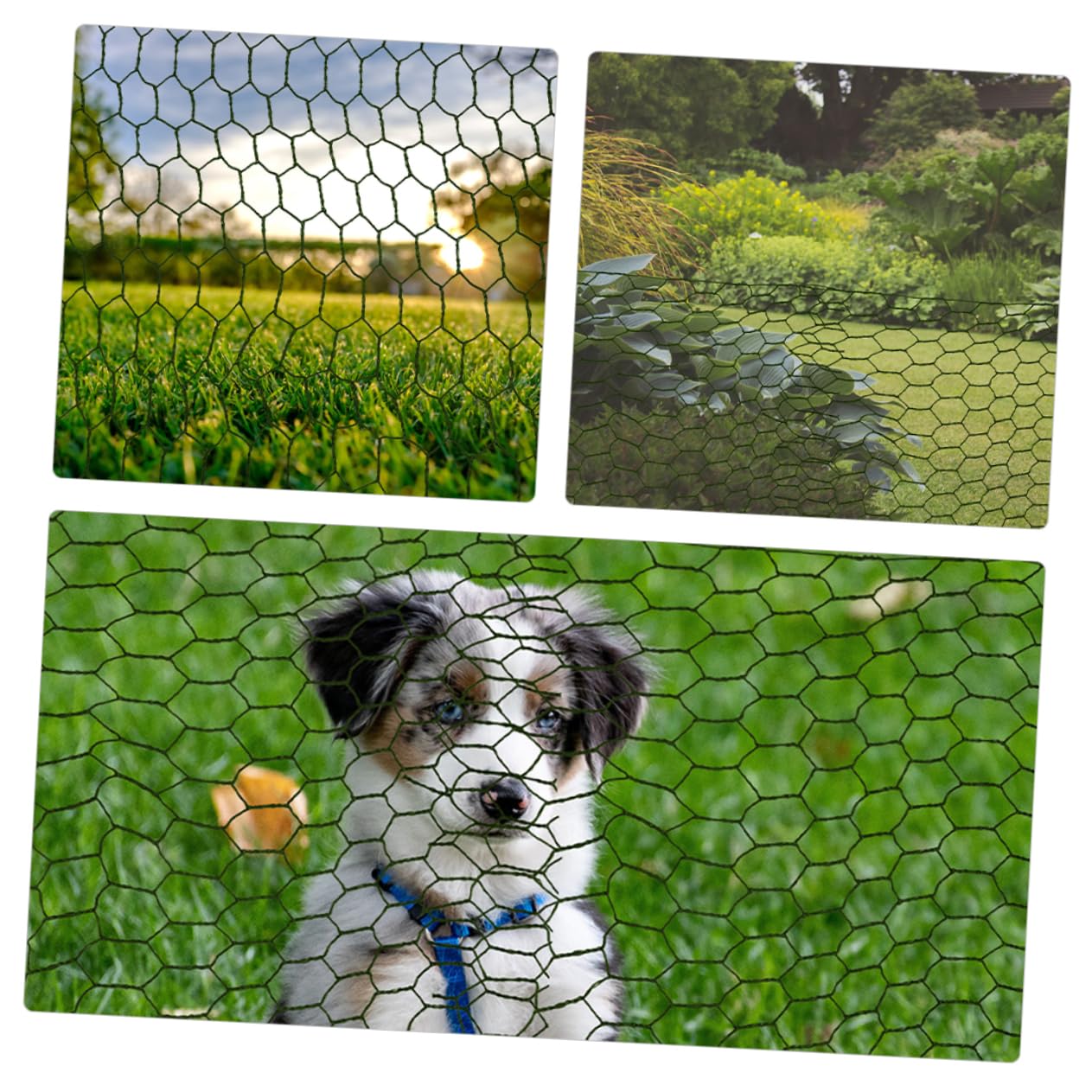 Amazon | CANIGHT 金属ワイヤーネット 35cm X 200cm 鶏用メッシュ