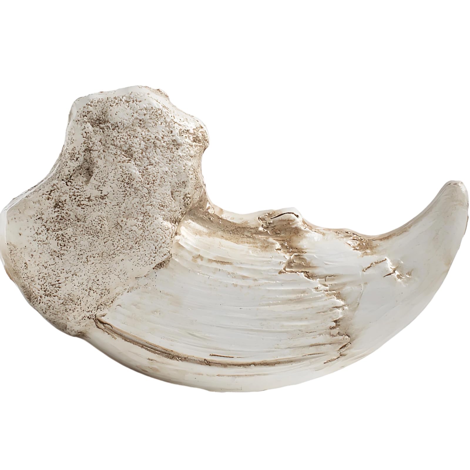 Unique Resin Ornament Realistic Fossils for Bookshelf Decor and Scientific Resin Decorative Figurine Nature Encouraged Decors Home Decors Sculpture Miniature Art Artistic Ornamentation Desktop Display