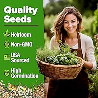 Vista 14 de HOME GROWN Más de 1000 semillas de cilantro para plantar en interiores o exteriores, hierbas tradicionales sin OMG, semillas de plantas de cilantro